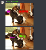 5680ca1544.png