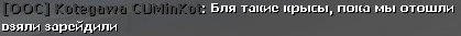 11203 11203