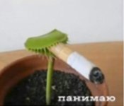 2sqWf8L6Mcc.jpg 2sqWf8L6Mcc.jpg