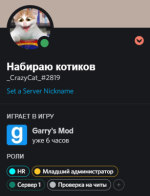 13244