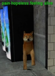 17260