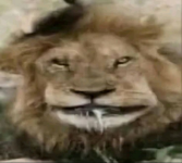 1773863009184.png
