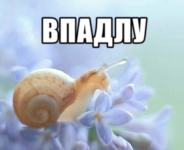 1774036197117.png
