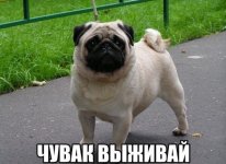a12de1edbc5586b3ae670e28f50b80e9.jpg a12de1edbc5586b3ae670e28f50b80e9.jpg