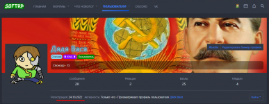 Opera Снимок_2024-06-11_092148_softrp.ru.png