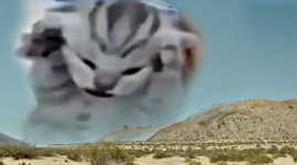 1781894220095.png