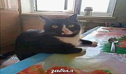 e823e08eb26ea8cdb30f4174bebcebc7.jpg