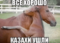 1790502502546.png