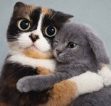IMG_7564.jpeg