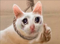 7744 7744