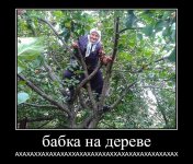 C4E8268C-4CF1-4B82-8FD2-583C7FCDFDDA.jpeg C4E8268C-4CF1-4B82-8FD2-583C7FCDFDDA.jpeg